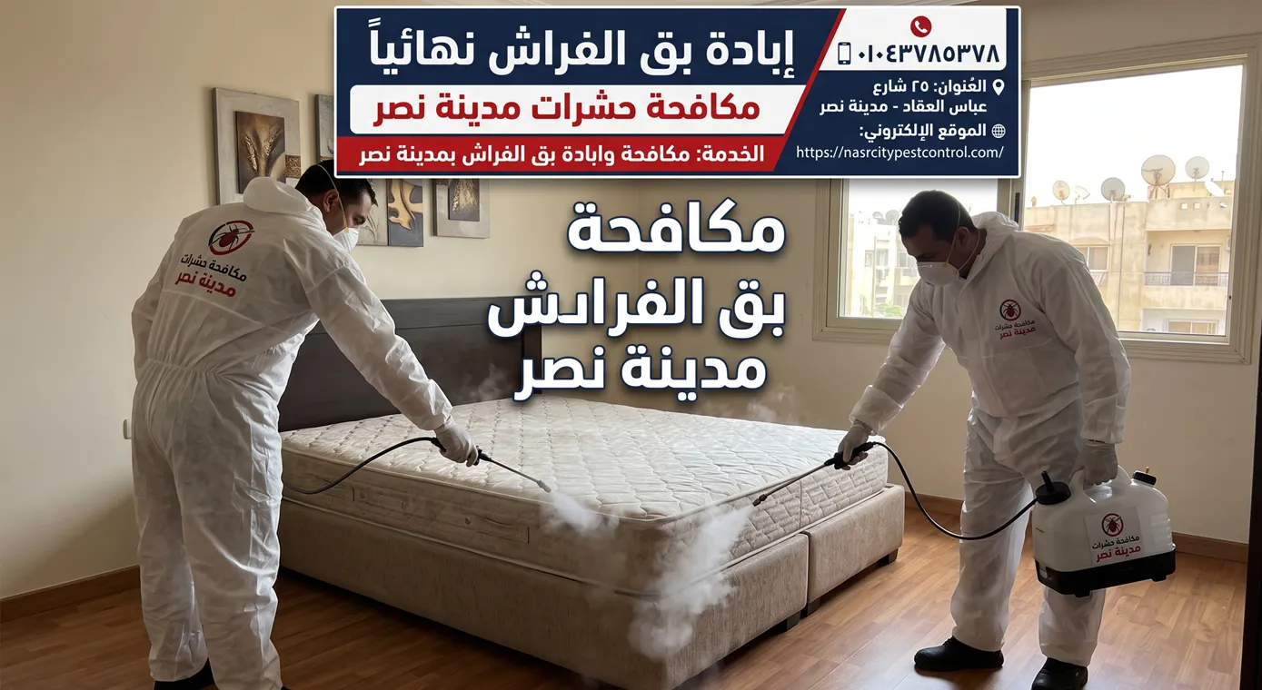 مكافحة بق الفراش مدينة نصر